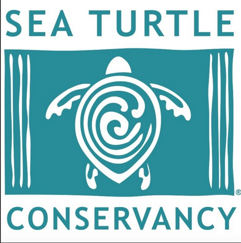 Sebastian Inlet Surfing Turtle Women's Racerback Tank